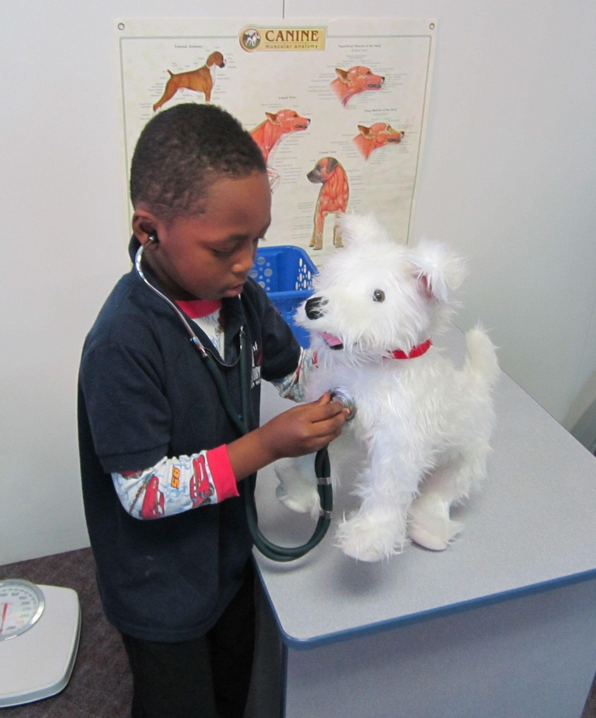 Child playing vet: Exhibit at the Curious Kids' Museum & Discovery Zone